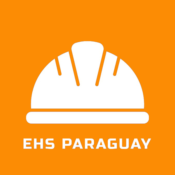 logo de ehs